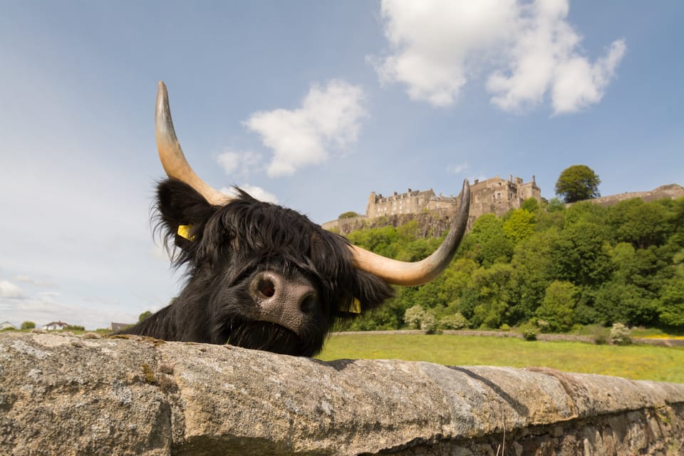 From Edinburgh: Loch Lomond, Stirling Castle & Kelpies Tour - Participant Guidelines