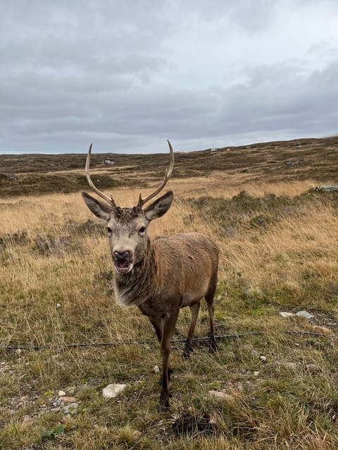 From Edinburgh: Loch Ness, Glencoe, & Highlands Private Tour - Important Information