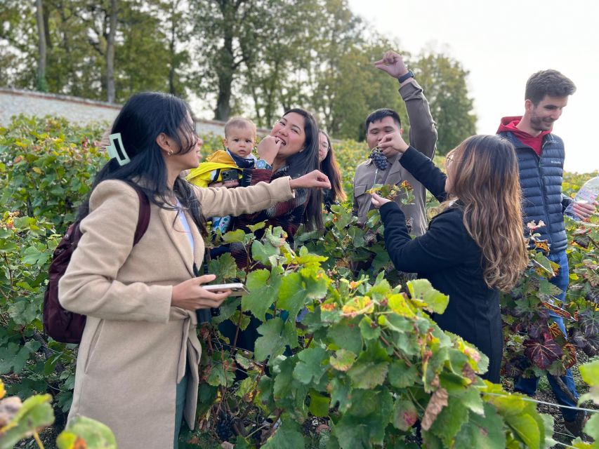 From Epernay: Afternoon Champagne Tour With 6 Tastings - Customer Experiences