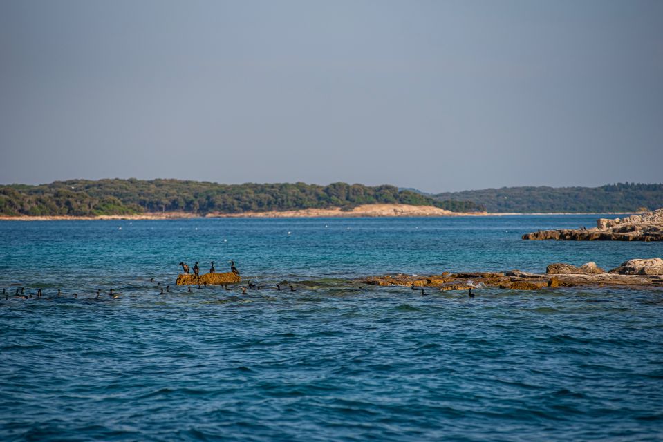 From Fažana: Private Boat Tour of Brijuni Islands - Additional Stop Options