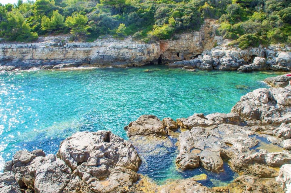 From Fažana: Snorkeling at Sea Cave and Brijuni Island - Customer Experience and Reviews