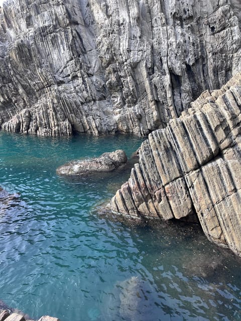 From Florence : Pisa and Cinque Terre Semi Private Tour - Inclusions and Logistics