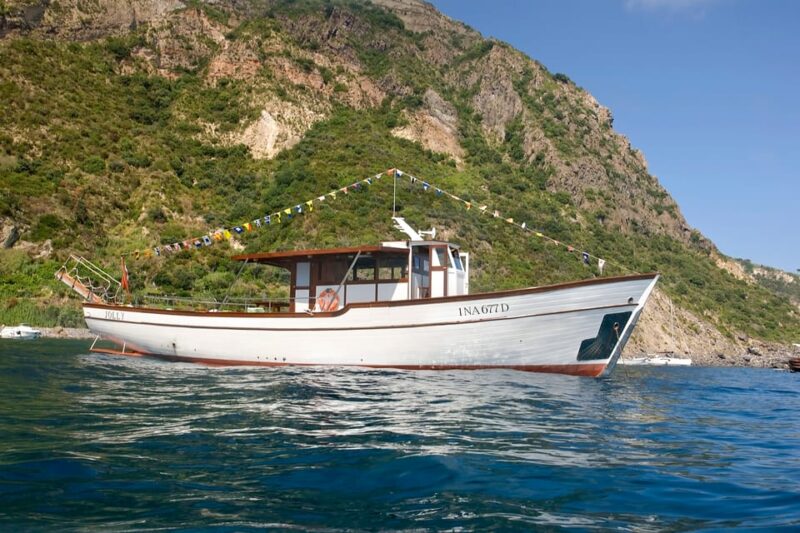 From Forio: Ischia Swim and Snorkel Boat Tour With Lunch - Participants