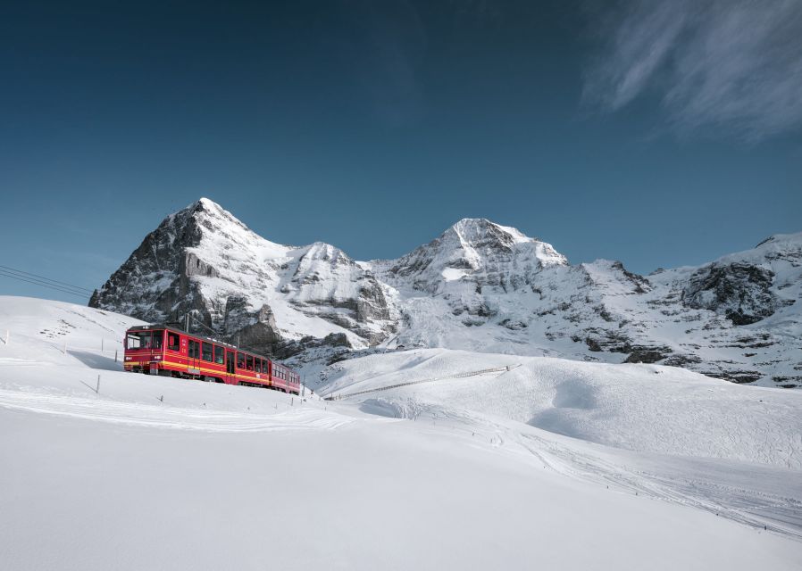 From Geneva: Jungfrau and Interlaken Small Group Tour - Customer Feedback