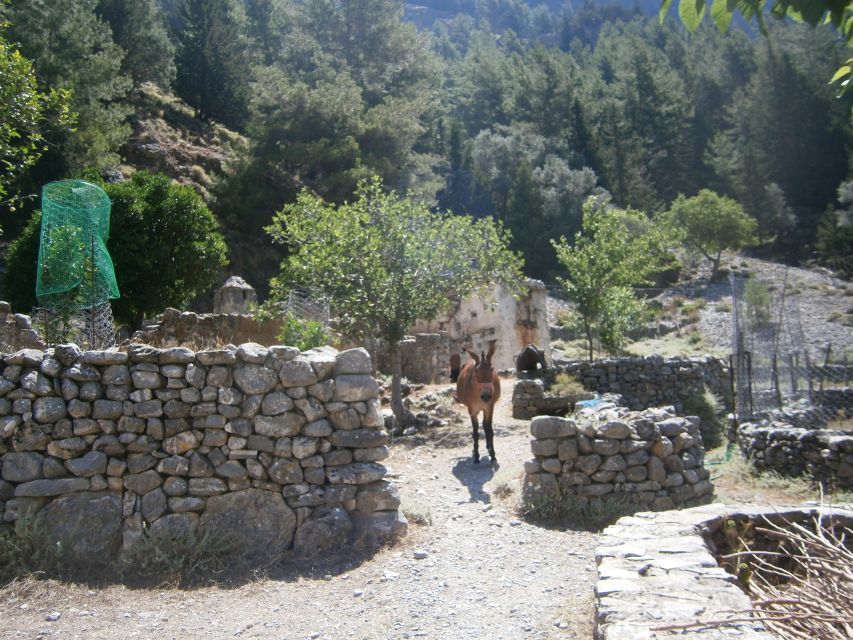 From Georgioupolis: Roundtrip Transfer to Samaria Gorge - Exclusions