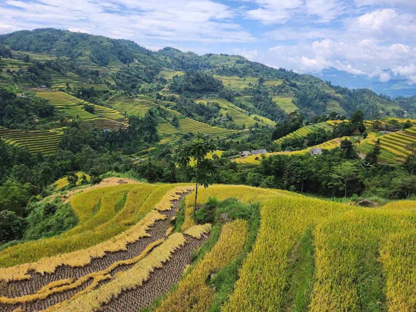 From Ha Giang: 3 Day 2 Night Ha Giang Loop Motorbike Tour - Pickup and Transportation