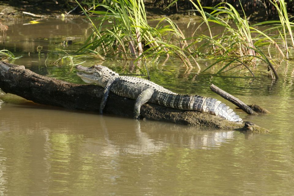 From Habarana or Sigiriya: Minneriya National Park Safari - Entrance Tickets and Guide