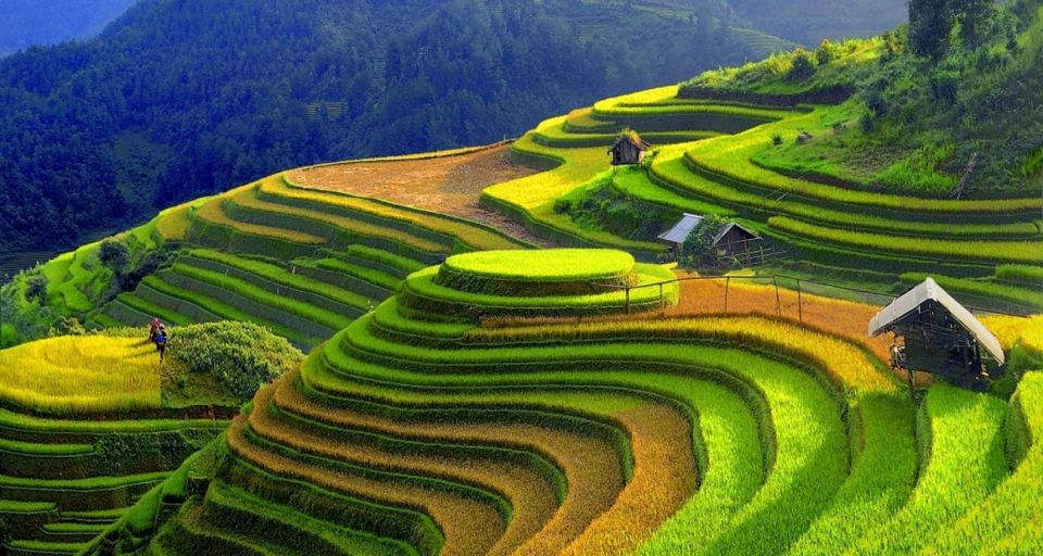 From Hanoi: 2-Day Sapa Town Hiking Tour & Homestay With Food - Inclusions and Accommodations