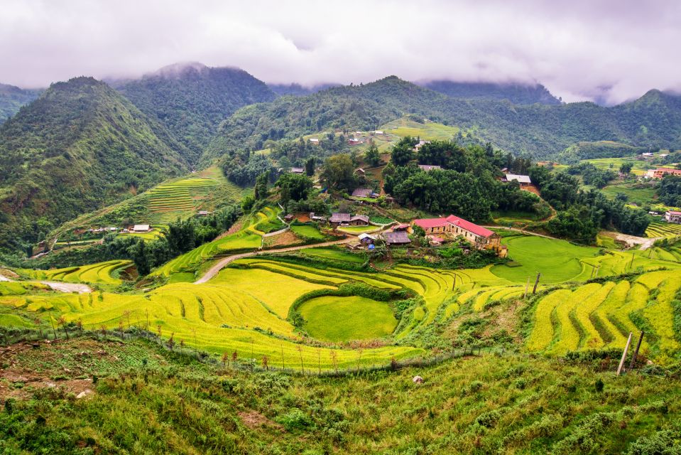 From Hanoi: 2-Day Sapa Trekking Tour With Limousine Transfer - Customer Feedback