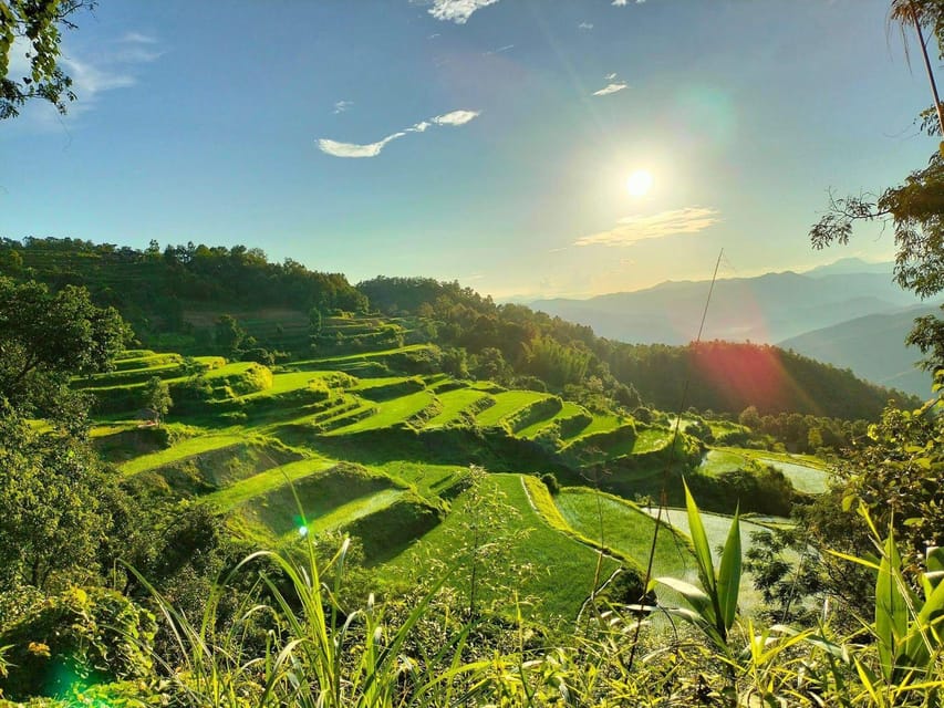 From Hanoi: 4-Day Ha Giang Loop Motorbike Tour With Bus - Driving Requirements