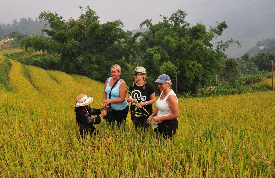 From Hanoi: Explore Sapa 2-Day Tour - Inclusions and Amenities