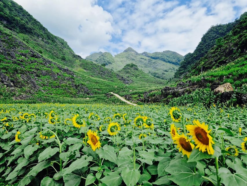 From Hanoi : Ha Giang Loop 3D2N Hong Hao - Daily Breakdown