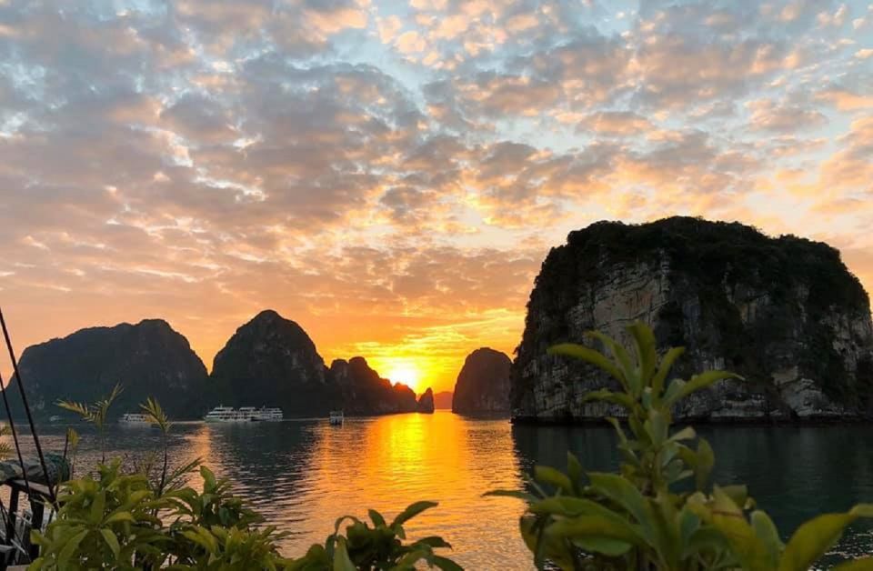 From Hanoi: Ha Long Bay Luxury Cruise Day Tour With Jacuzzi - Dining Options Onboard