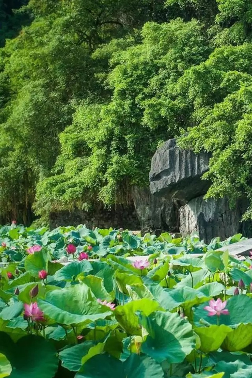 From Hanoi: Hoa Lu / Bai Dinh & Bich Dong & Thung Nham - Thung Nham Bird Valley