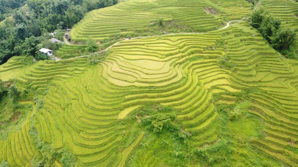 From Hanoi: Sapa 2 Days 1 Night Trekking With Local People - Unique Experiences