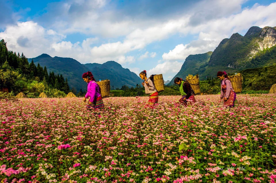 From Hanoi/Sapa: Ha Giang 2-Day Loop Tour With Easy Rider - Pickup Information