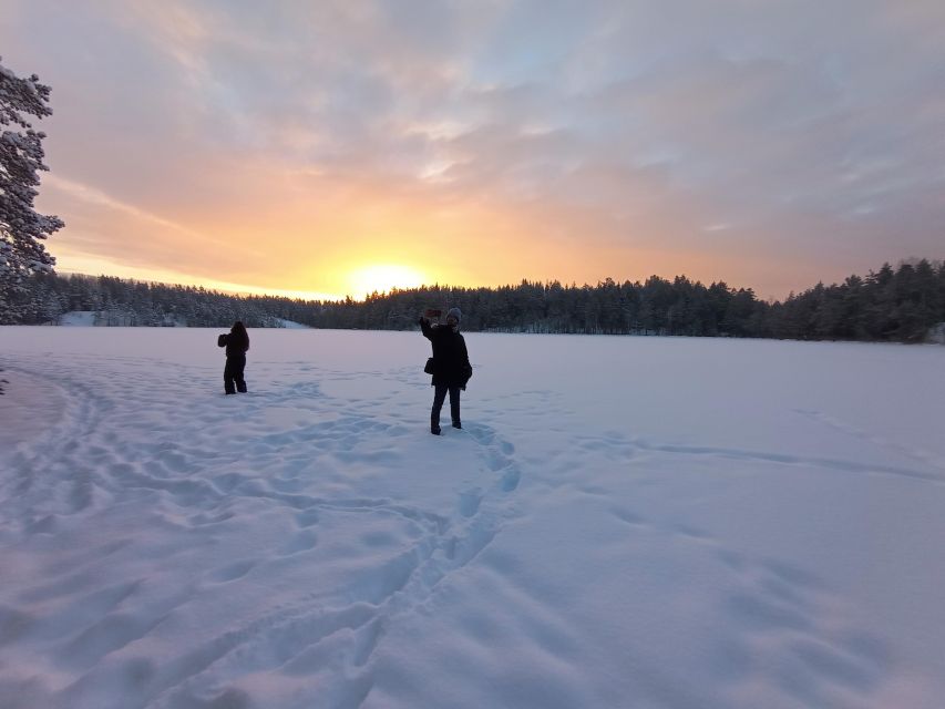 From Helsinki: Nuuksio National Park Hiking Tour With Food - What to Bring