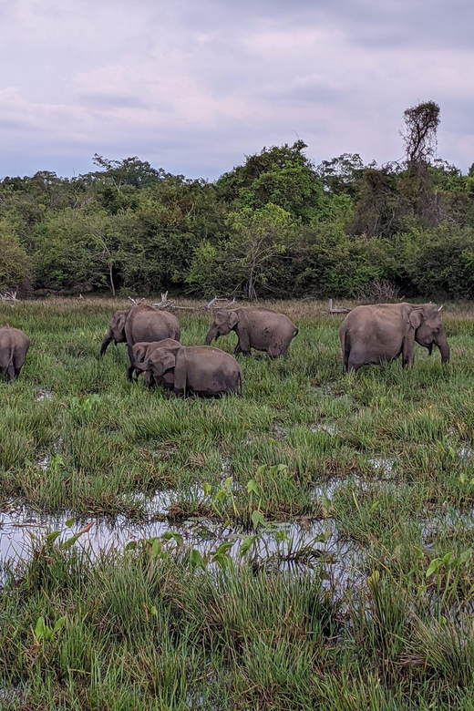 From Hikkaduwa/Galle/Mirissa : Udawalawa Safari & Drop Ella - Travel Duration