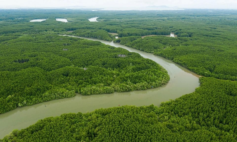 From Ho Chi Minh: Can Gio Mangrove Forest - Monkey Island - What to Bring for the Trip