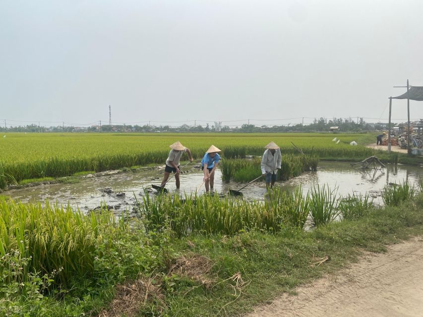 FROM HOI AN: TOUR-THE COUNTRYSIDE OF HOI AN BY VESPA - Local Agricultural Activities