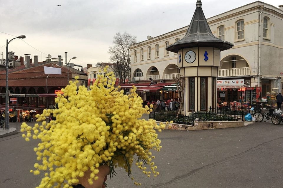 From Istanbul: Büyükada Walking Full-Day Tour - Customer Feedback