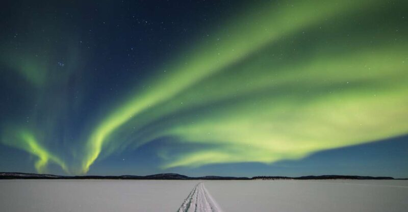 From Ivalo: Northern Lights Tour to Lake Inari With Dinner - Customer Experiences