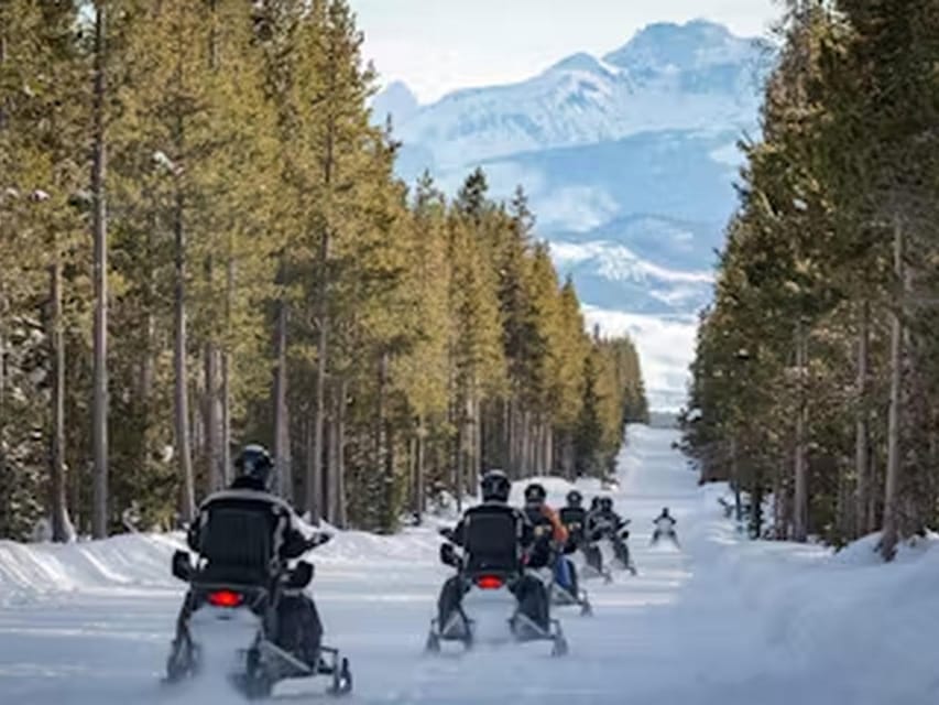 From Jackson: Yellowstone Grand Canyon Snowmobile Tour - Important Information