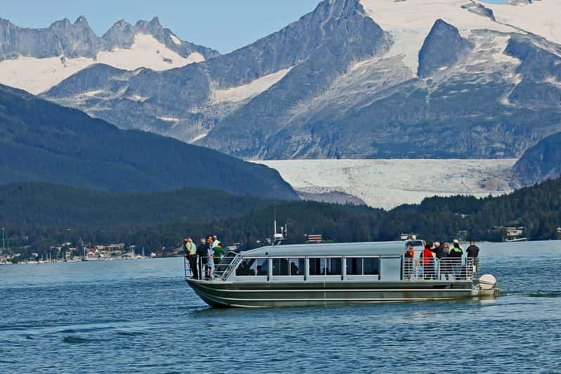 From Juneau: Whale Watching Cruise With Snacks - Booking and Cancellation