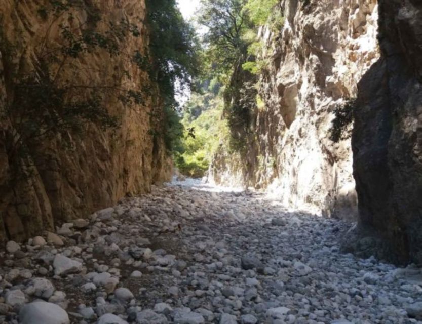 From Kalamata: Ridomo Gorge Hiking Tour With Beach Swim - Guide-to-Hiker Ratio