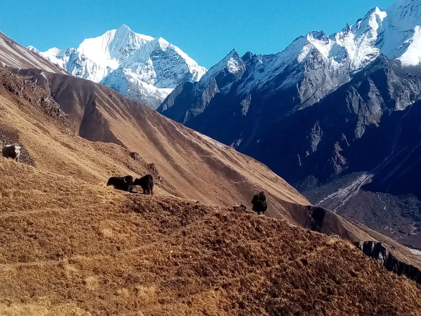 From Kathmandu: Langtang Gosainkunda Trek - Important Information and Restrictions