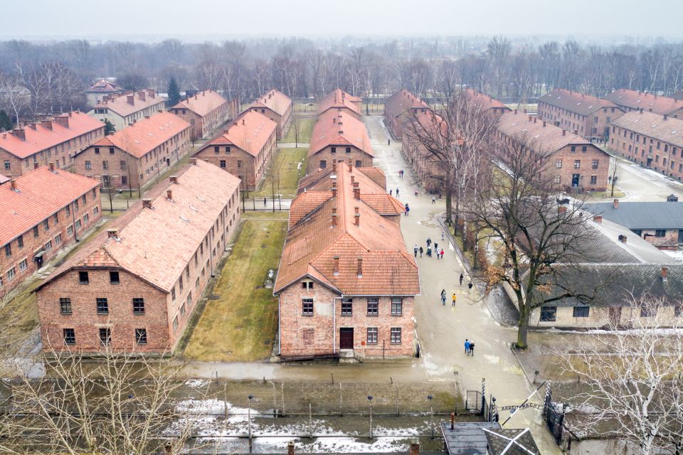 From Krakow: Auschwitz and Wieliczka Salt Mine Full-Day Trip - Customer Reviews and Ratings