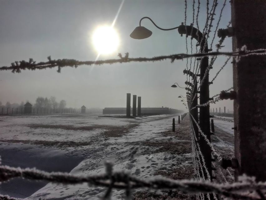 From Krakow: Auschwitz-Birkenau Guided Tour & Pickup - Important Information