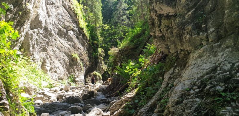 From Krakow: Hiking in the Tatra Mountains and Thermal Baths - Pricing and Booking