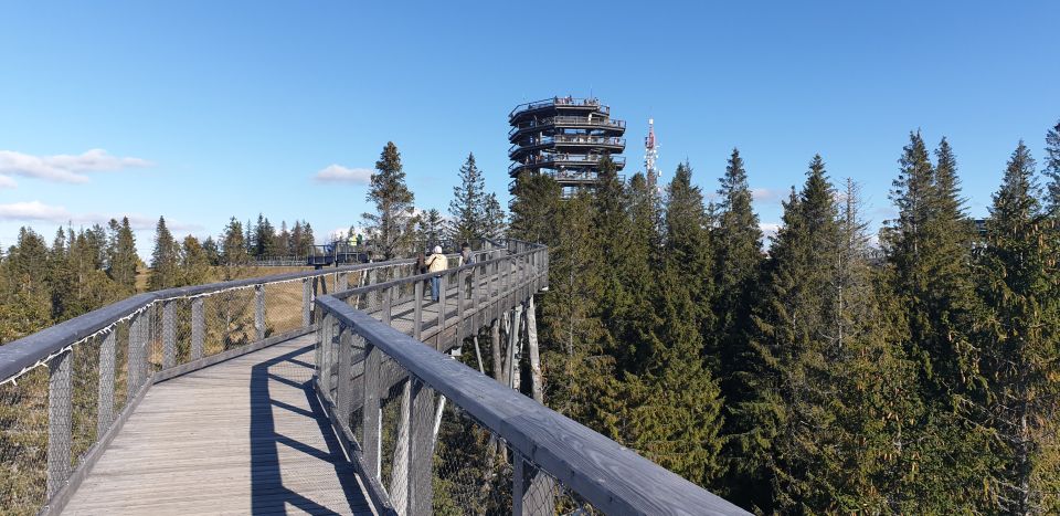 From Krakow: Tour to Slovakia Treetop Walk and Thermal Baths - Tour Inclusions and Benefits