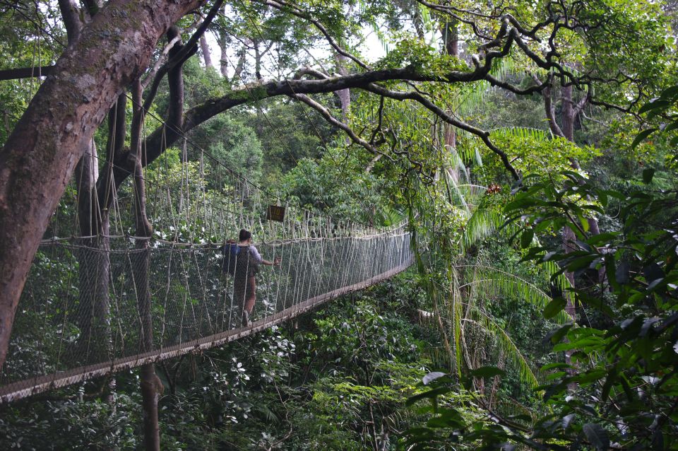 From Kuala Lumpur: Taman Negara National Park Day Tour - Important Safety Information