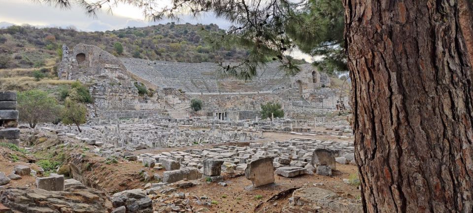 From Kusadası: Private Shore Excursion to Ephesus - Private Group Experience