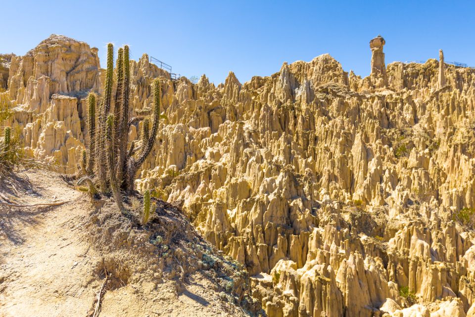 From La Paz: Day Trip to Chacaltaya and Moon Valley - Inclusions for Tour