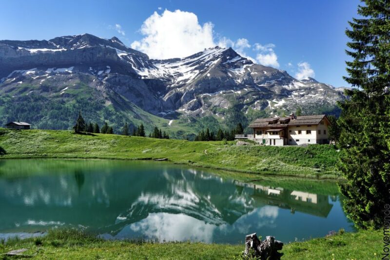 From Lausanne: Glacier 3000 Experience and Montreux - Participant Age Information