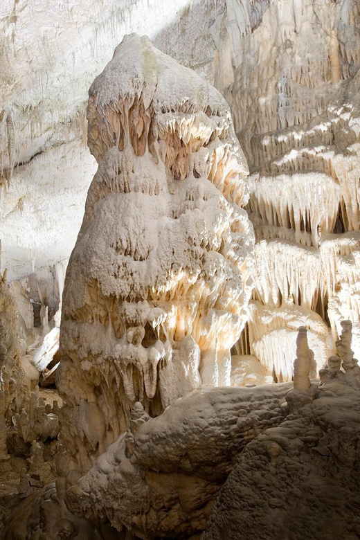 From Ljubljana: Postojna Cave and Predjama Castle Tour - Important Visitor Information