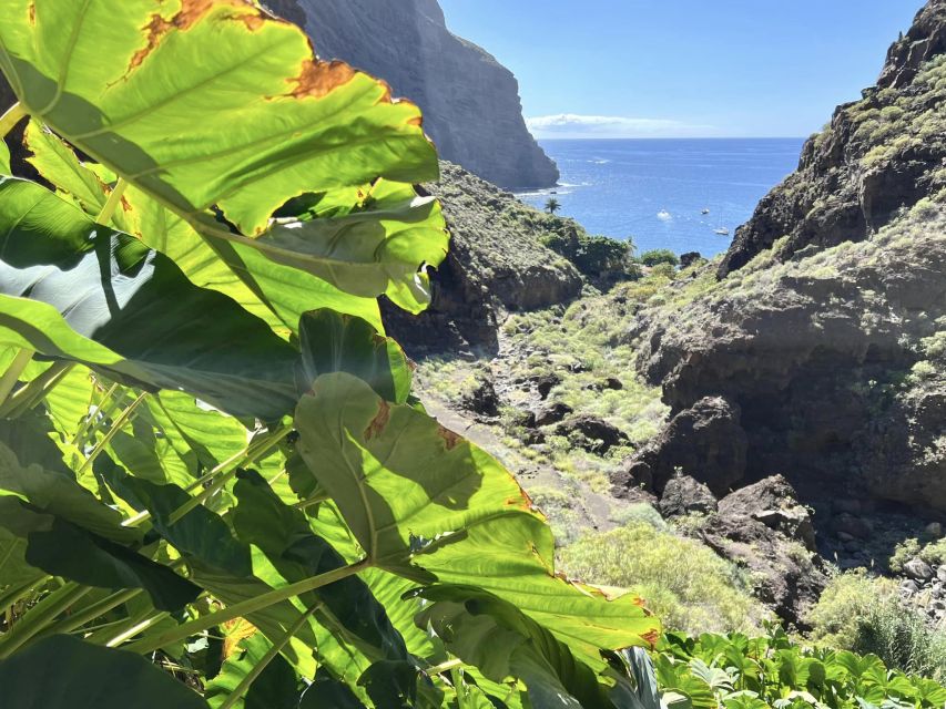 From Los Gigantes: Masca Canyon Hike With Water Taxi Return - Cost Breakdown