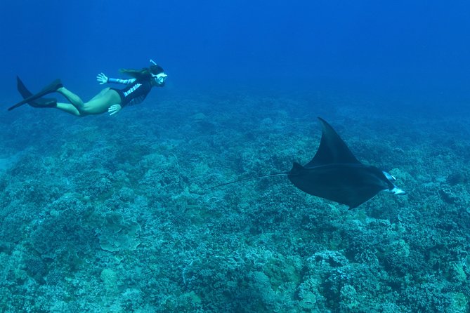 From Maalaea: Lanai Snorkel & Dolphin Encounter on Quicksilver - Snorkeling Conditions