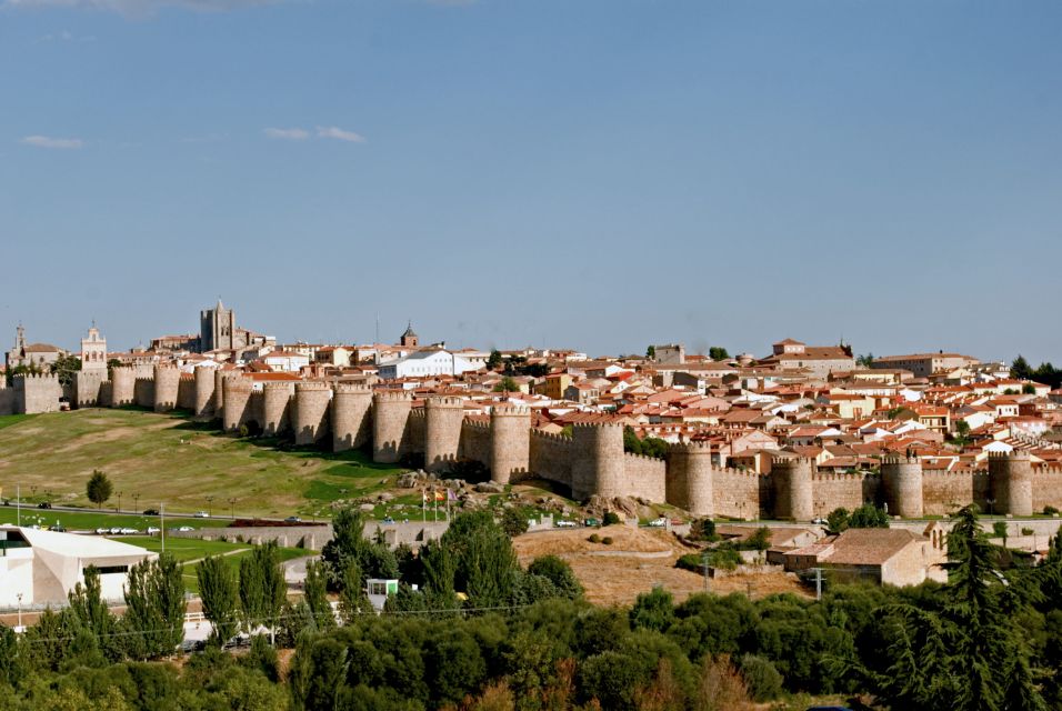 From Madrid: Avila and Salamanca Private Tour - Positive Customer Reviews