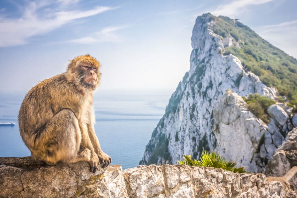 From Malaga and Costa Del Sol: Gibraltar Shopping Tour - Passport and Visa Requirements