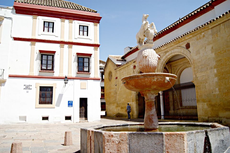 From Málaga: Córdoba Mosque Cathedral Guided Tour - Transportation From Málaga