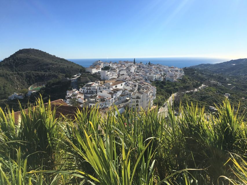 From Málaga: Frigiliana Hiking Tour With Wine & Appetizers - Meeting Point and Important Information