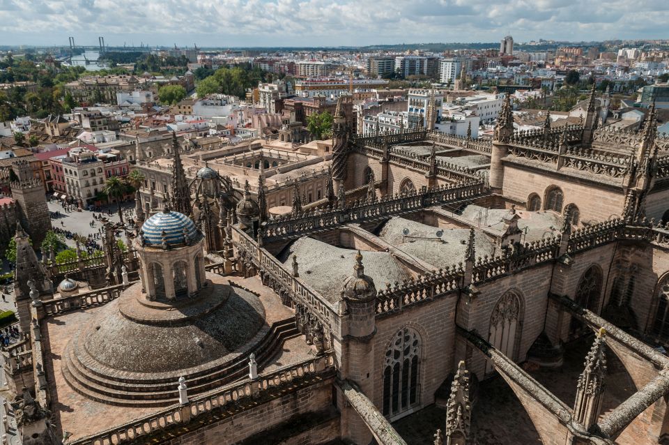 From Malaga: Private Seville, Alcazar and Cathedral Day Trip - Inclusions and Participant Information