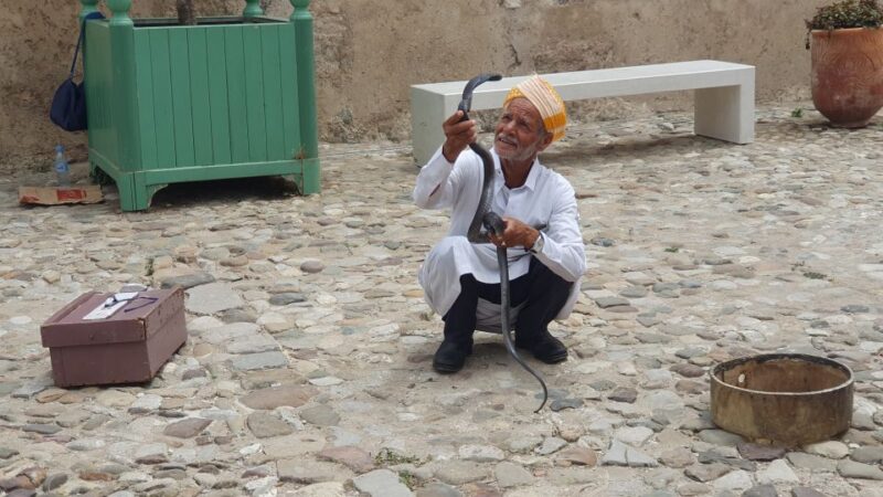 From Malaga: Tangier Day Tour With Bazaar Shopping and Lunch - Meeting Point and Preparation