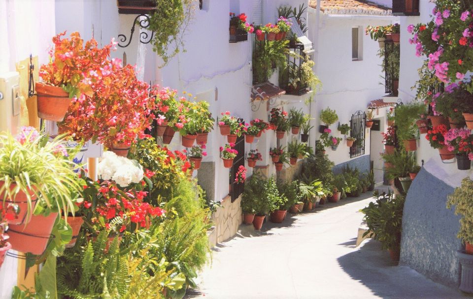 From Málaga: The Saltillo Gorge and White Village Hiking Tour - Visiting the White Village