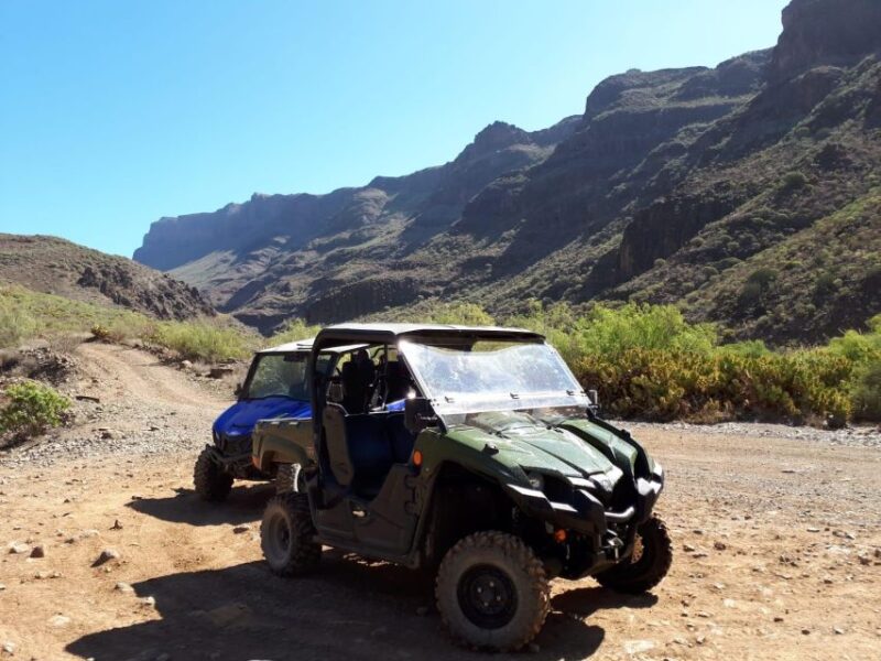 From Maspalomas: Volcanic Landscapes 4-Seater Buggy Tour - Convenient Hotel Pickup and Drop-off