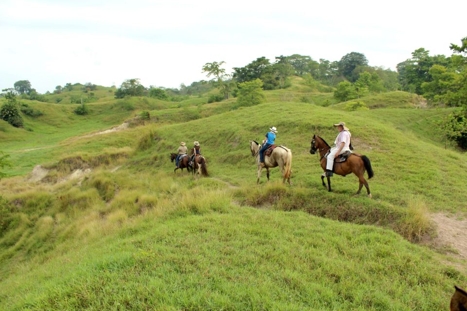 From Medellin; (All-In) The Real Horseback Ranch Experience - The Cultural Immersion